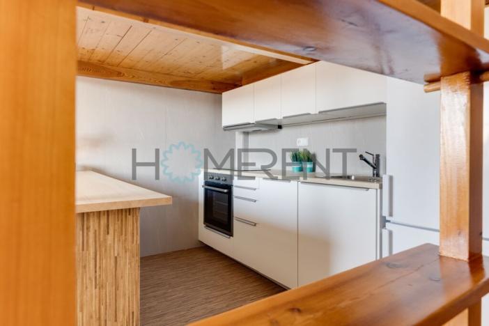 Pronájem bytu 1+kk, Praha - Nusle, U křížku, 30 m2