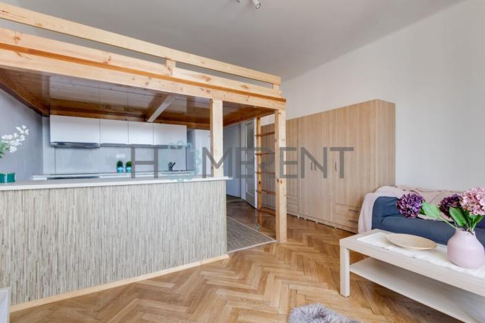 Pronájem bytu 1+kk, Praha - Nusle, U křížku, 30 m2