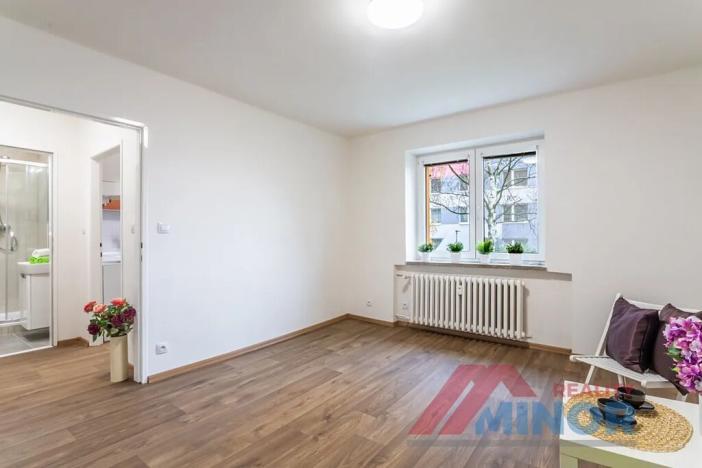 Pronájem bytu 1+1, Slaný, Rabasova, 28 m2