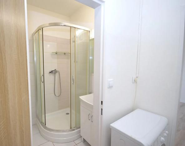 Pronájem bytu 1+kk, Frýdek-Místek, Bruzovská, 30 m2