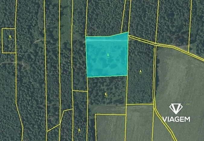 Prodej podílu lesa, Fulnek, 7911 m2