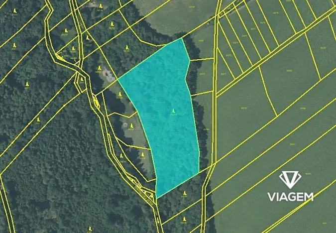 Prodej podílu lesa, Fulnek, 7911 m2