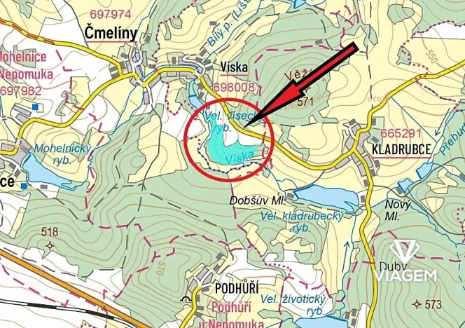 Prodej podílu lesa, Čmelíny, 7020 m2