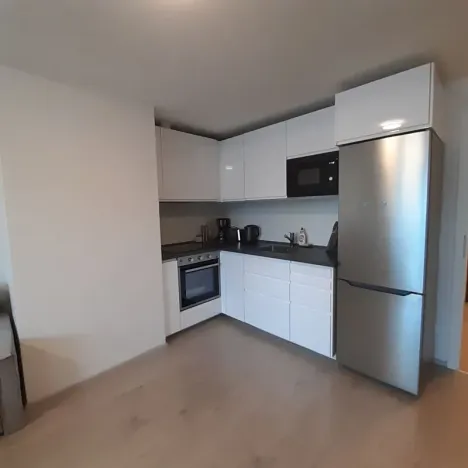 Pronájem bytu 1+kk, Praha - Žižkov, Hartigova, 39 m2