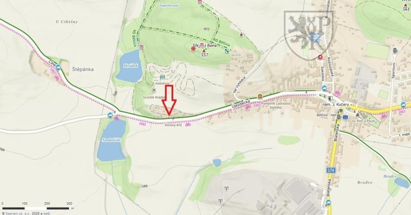 Prodej chaty, Bělčice, nám. J. Kučery, 75 m2