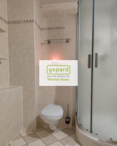 Pronájem bytu 2+1, Karlovy Vary, náměstí Dr. M. Horákové, 59 m2
