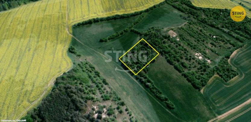 Prodej sadu/vinice, Koryčany - Blišice, 4839 m2