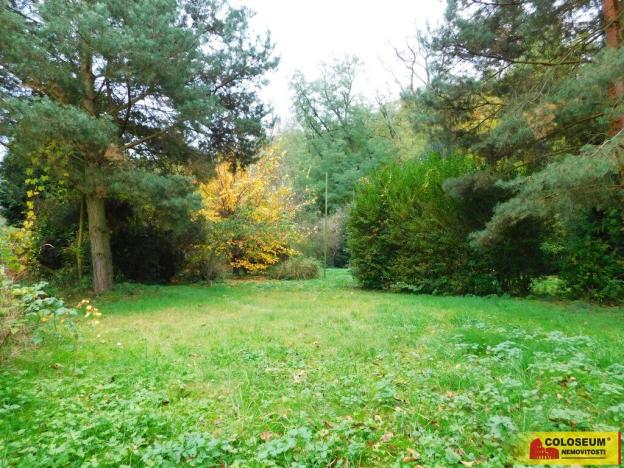 Prodej zahrady, Dyje, 482 m2