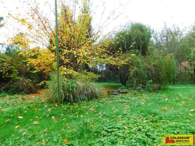 Prodej zahrady, Dyje, 387 m2