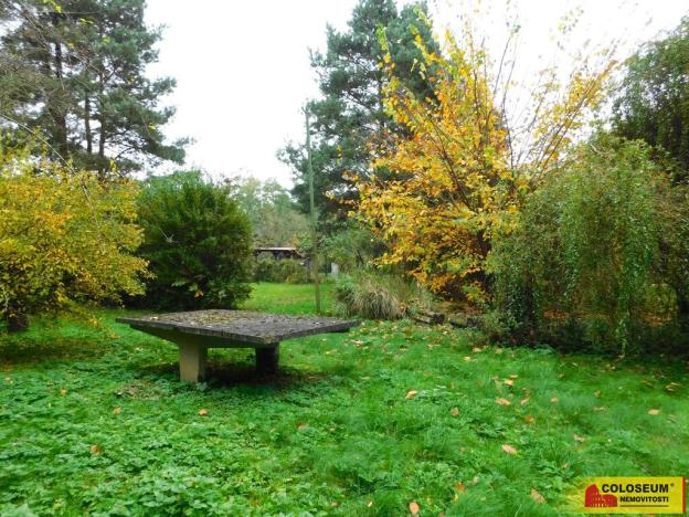 Prodej zahrady, Dyje, 387 m2