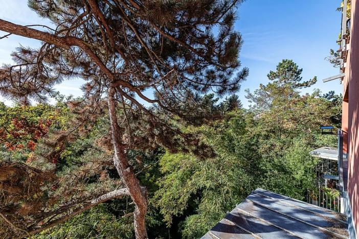Prodej bytu 2+kk, Roztoky, Jungmannova, 54 m2