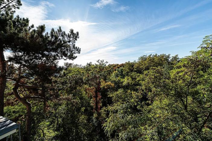Prodej bytu 2+kk, Roztoky, Jungmannova, 54 m2