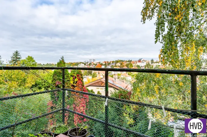 Prodej vícegeneračního domu, Praha, Na Truhlářce, 201 m2