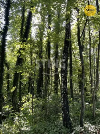 Prodej pozemku pro bydlení, Hnojník, 26902 m2