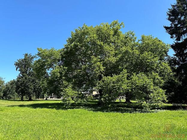 Prodej bytu 3+kk, Býchory, 108 m2