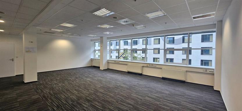 Pronájem kanceláře, Praha, Radlická, 1323 m2