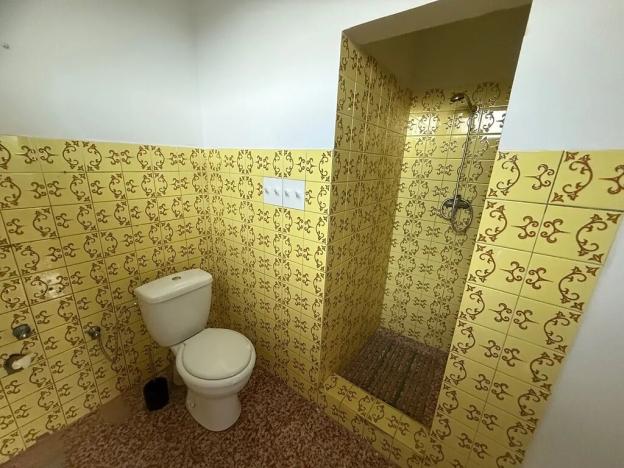 Pronájem obchodního prostoru, Horní Bříza, 55 m2