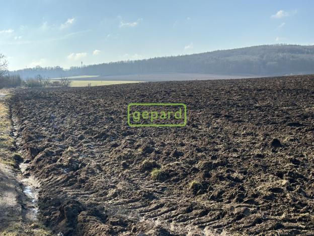 Prodej pole, Moravské Knínice, 8333 m2