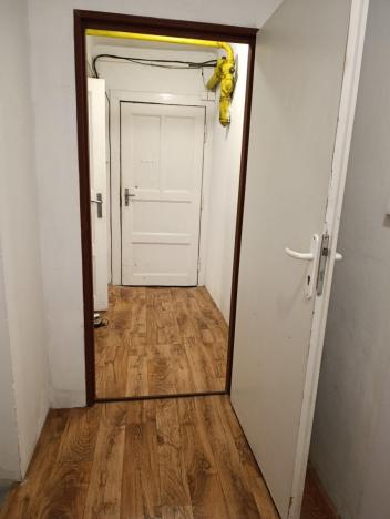 Prodej bytu 2+kk, Praha - Žižkov, Žerotínova, 53 m2