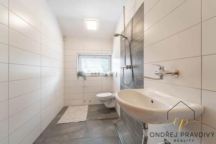 Prodej rodinného domu, Lety, Sokolská, 265 m2