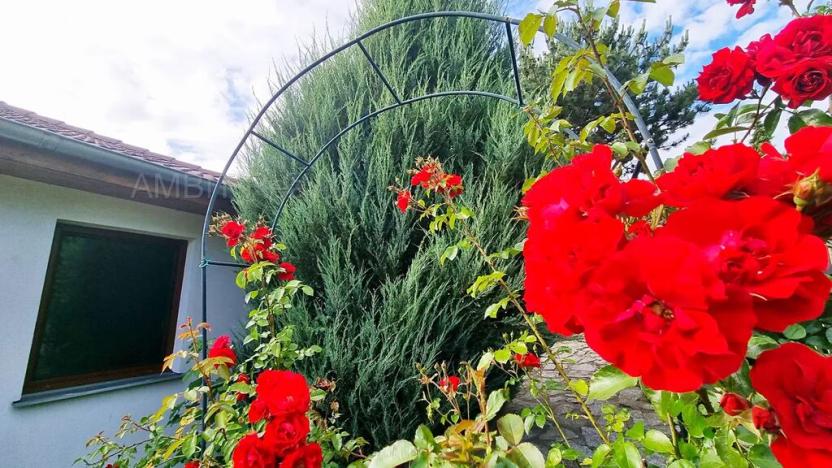 Prodej rodinného domu, Všestary, K lesu, 143 m2