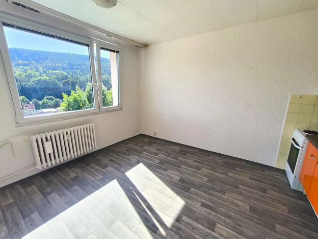Pronájem bytu 1+1, Děčín, Na Pěšině, 33 m2