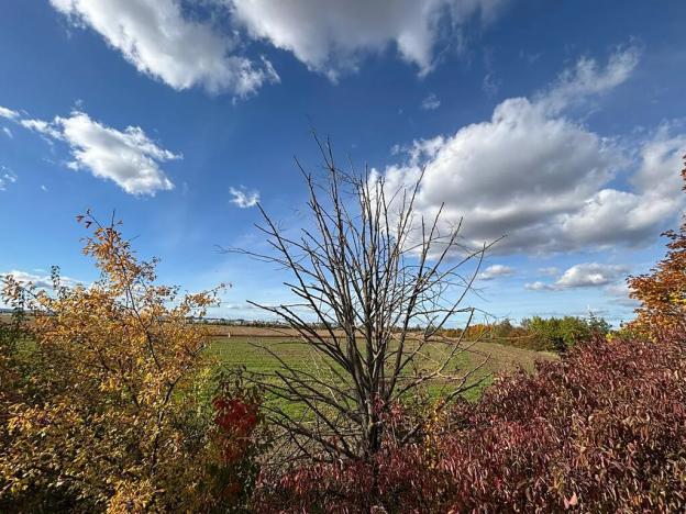 Prodej podílu pole, Olomouc, 10492 m2