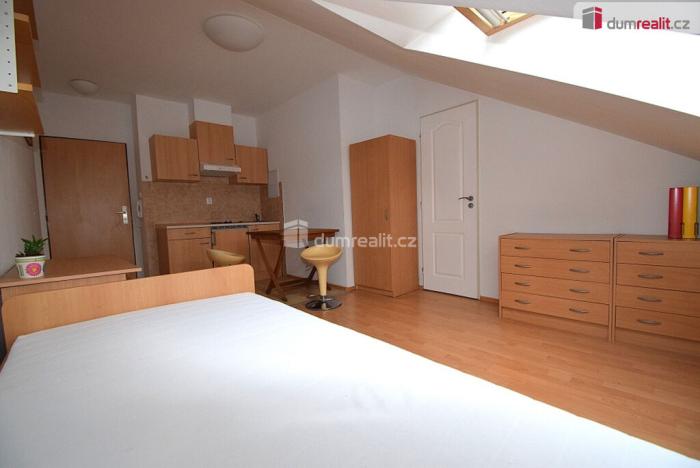 Pronájem bytu 1+kk, Praha - Smíchov, Nad Palatou, 25 m2