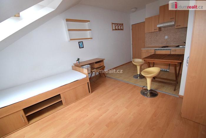 Pronájem bytu 1+kk, Praha - Smíchov, Nad Palatou, 25 m2