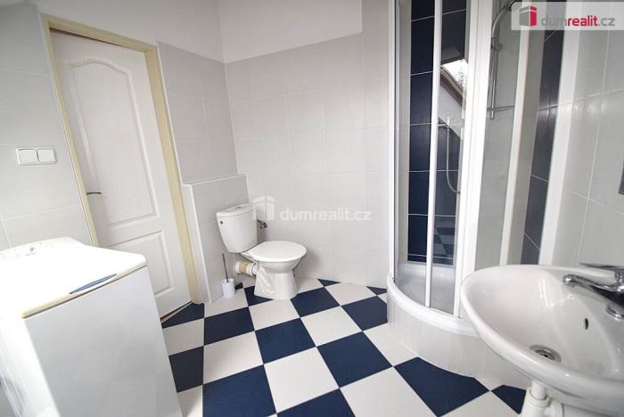 Pronájem bytu 1+kk, Praha - Smíchov, Nad Palatou, 25 m2