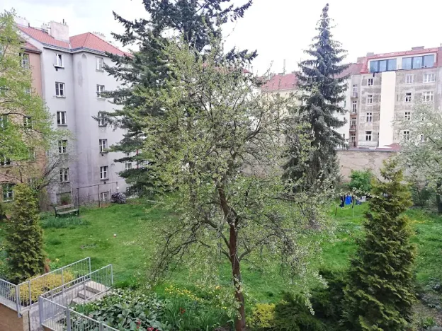 Pronájem bytu 2+1, Praha - Bubeneč, U zeměpisného ústavu, 46 m2