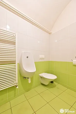 Prodej skladu, Cetkovice, Velká Strana, 420 m2