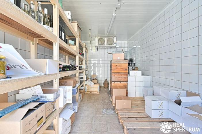 Prodej rodinného domu, Cetkovice, Velká Strana, 420 m2