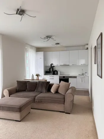 Pronájem bytu 2+kk, Praha - Žižkov, Olgy Havlové, 50 m2