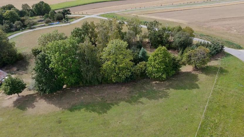 Prodej pozemku pro bydlení, Přibyslav, 1571 m2