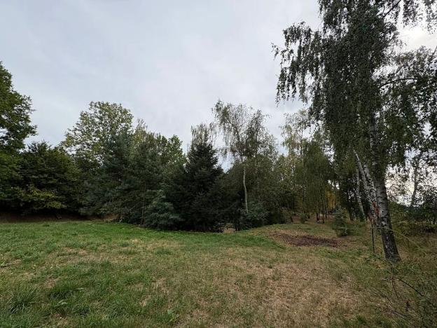 Prodej pozemku pro bydlení, Přibyslav, 1571 m2