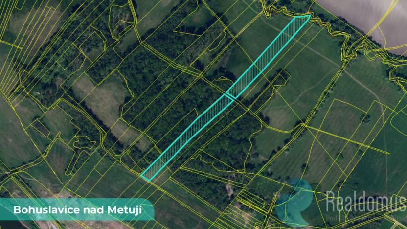 Prodej pozemku, Bohuslavice, 43749 m2