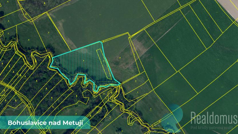 Prodej pozemku, Bohuslavice, 43749 m2