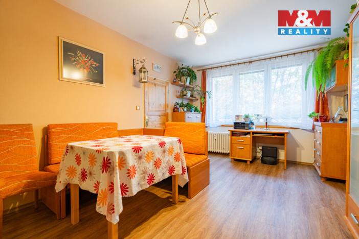 Prodej bytu 3+1, České Budějovice - České Budějovice 2, Větrná, 60 m2