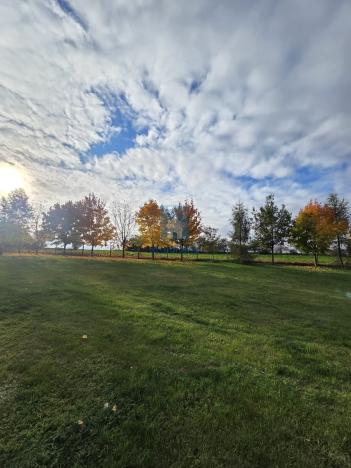 Prodej pozemku pro bydlení, Hobšovice, 6040 m2