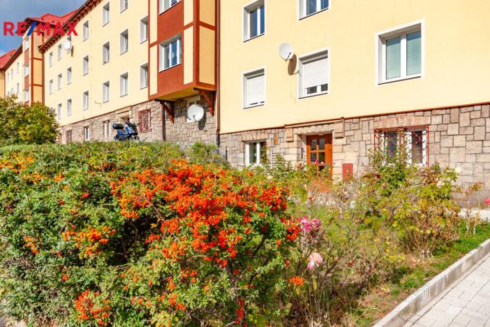 Prodej bytu 1+1, Meziboří, Okružní, 43 m2