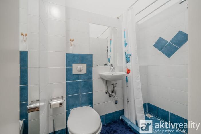 Pronájem bytu 4+1, Praha - Vinohrady, Polská, 134 m2