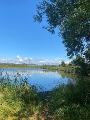 Prodej rodinného domu, Obořiště, 150 m2