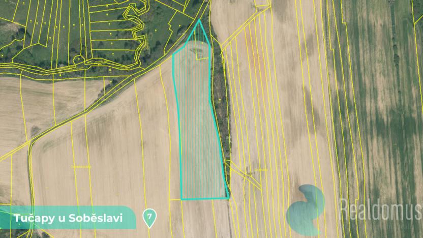 Prodej podílu 1/8 pozemku, Tučapy, 11561 m2