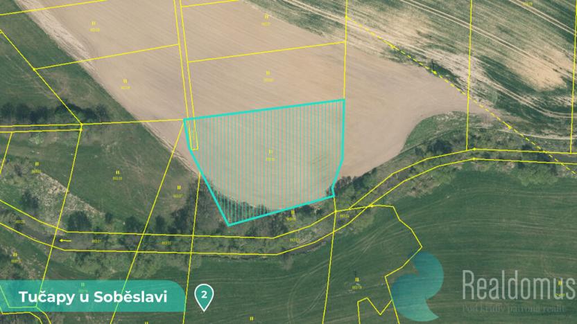 Prodej podílu 1/8 pozemku, Tučapy, 11561 m2
