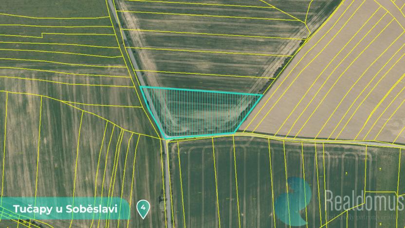 Prodej podílu 1/8 pozemku, Tučapy, 11561 m2