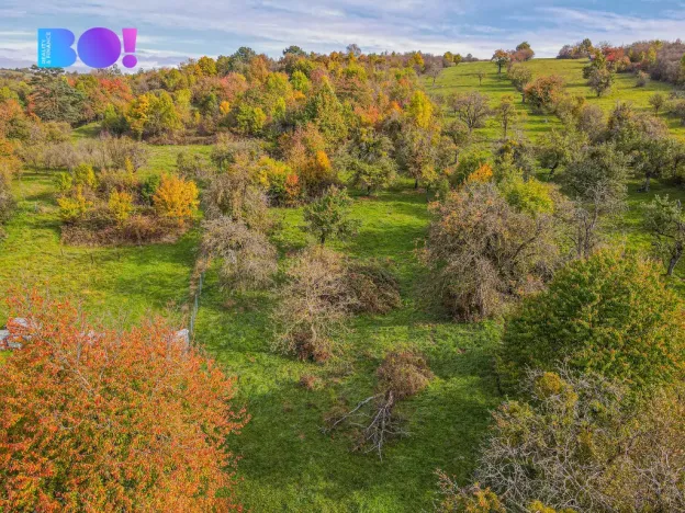 Prodej pozemku pro bydlení, Jankovice, 10000 m2