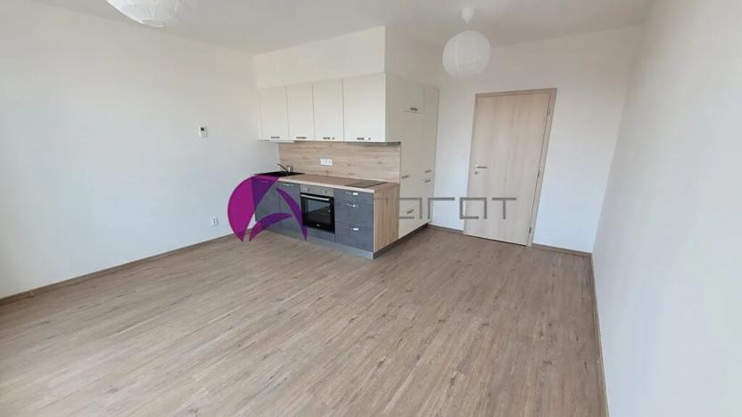 Pronájem bytu 1+kk, Olomouc, Šantova, 34 m2