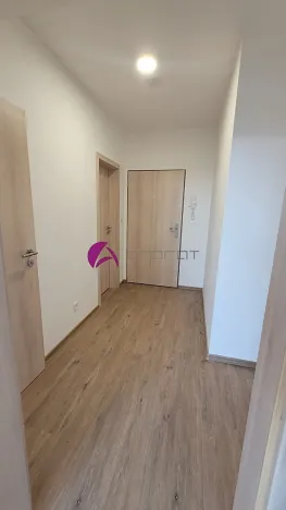 Pronájem bytu 1+kk, Olomouc, Šantova, 34 m2