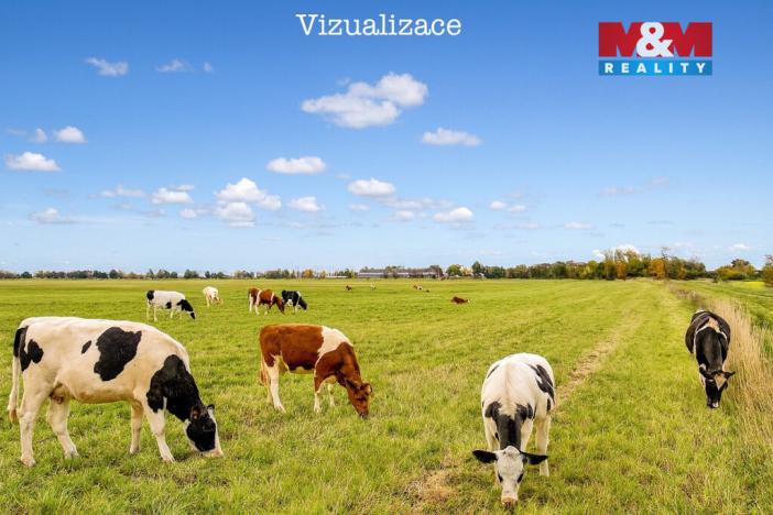 Prodej pole, Dolní Roveň - Komárov, 23163 m2